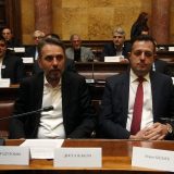 Vlast neće popustiti zahtevu za razdvajanjem izbora? 10