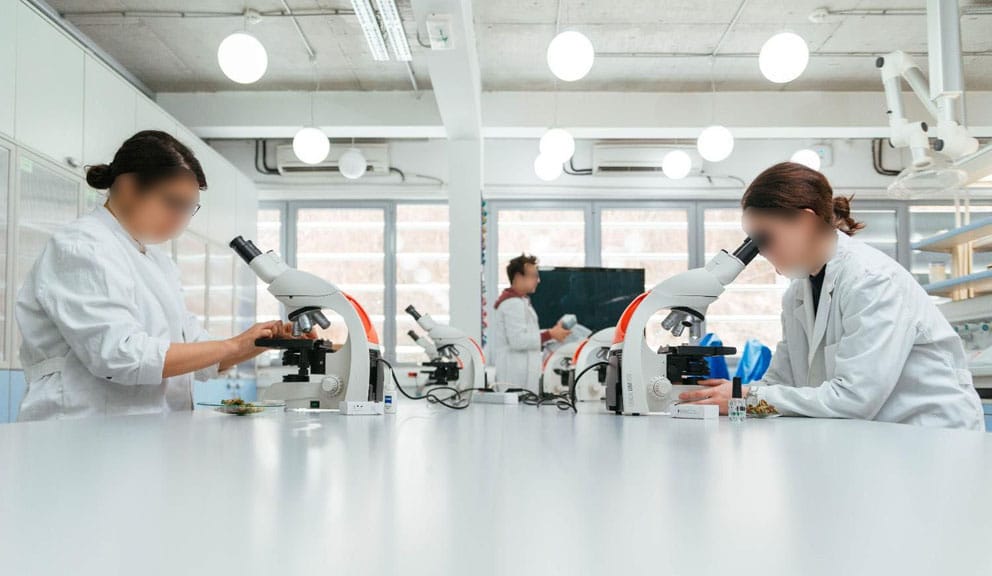 Britanski naučnici se založili za eksperimente na embrionima starim do 28 dana 1