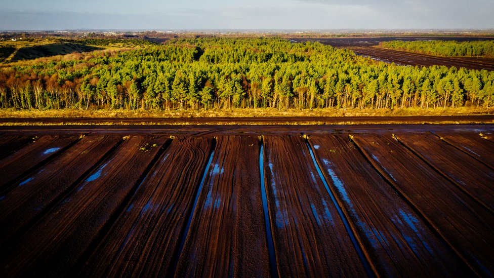Životna sredina i Irska: Odluka o napuštanju prljavog goriva - deca svesna da to mora da se uradi 3 Many commercial peat bogs are being retired in Ireland