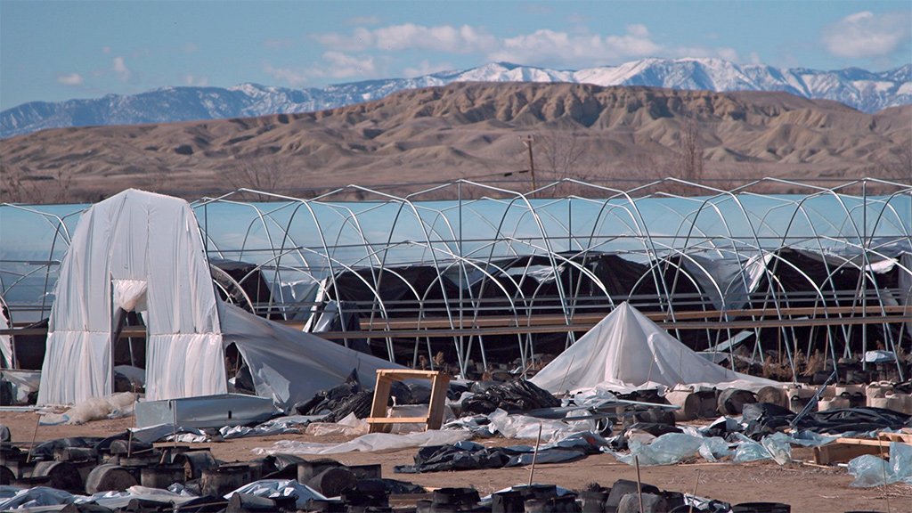 Amerika i uzgoj kanabisa: Kineski snovi na zemlji američkih Indijanaca 30 Hoop houses on the cannabis farms in Shiprock, New Mexico