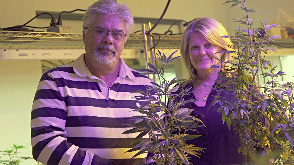 Amerika i uzgoj kanabisa: Kineski snovi na zemlji američkih Indijanaca 25 Jayne and Vic Grissom pose in their marijuana plant display room