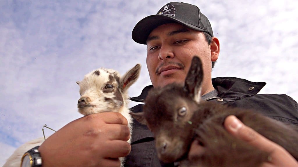 Amerika i uzgoj kanabisa: Kineski snovi na zemlji američkih Indijanaca 16 Brandon Billie holding some kid goats