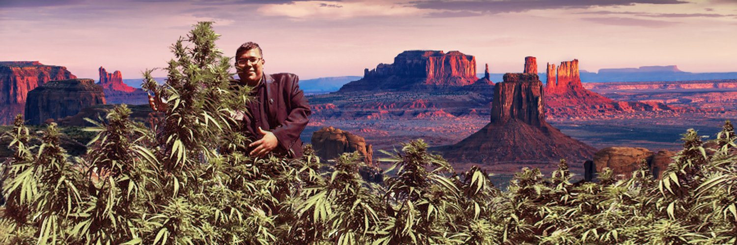 Amerika i uzgoj kanabisa: Kineski snovi na zemlji američkih Indijanaca 8 Dineh Benally, the former San Juan Tribal Farm Board president, poses with cannabis plants