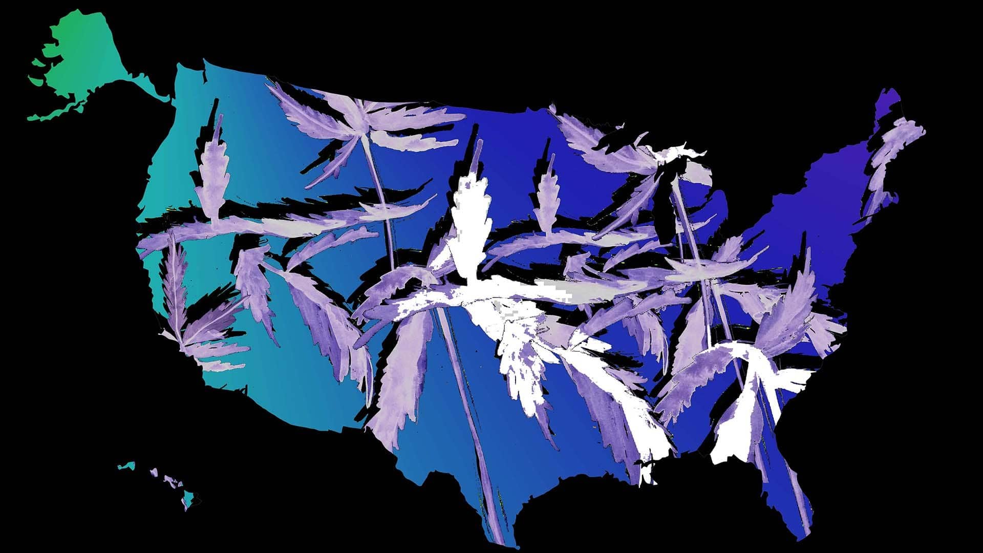 Amerika i uzgoj kanabisa: Kineski snovi na zemlji američkih Indijanaca 21 map of US with weed background