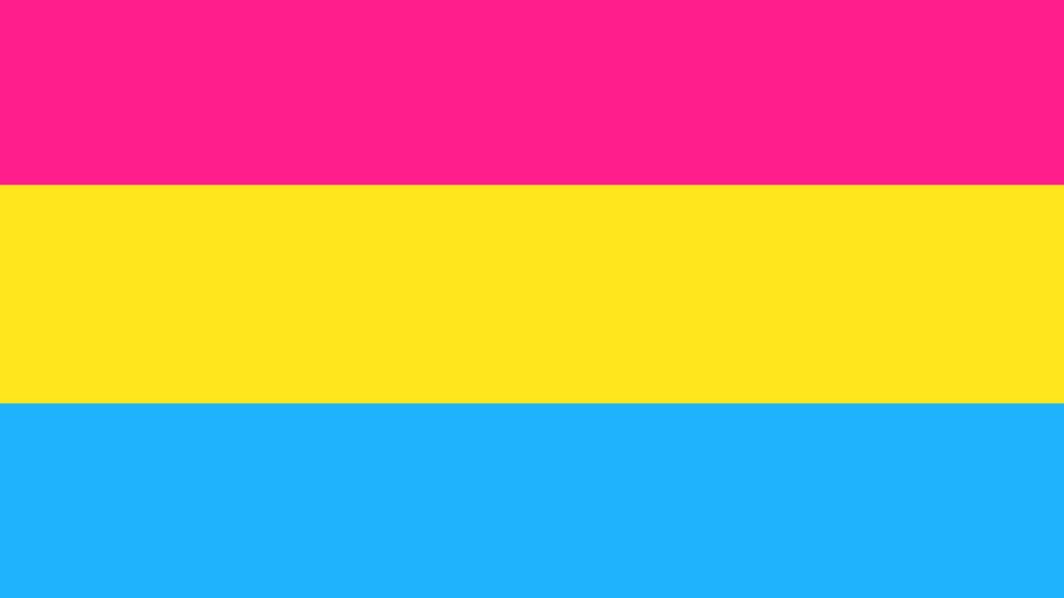 The pansexual flag