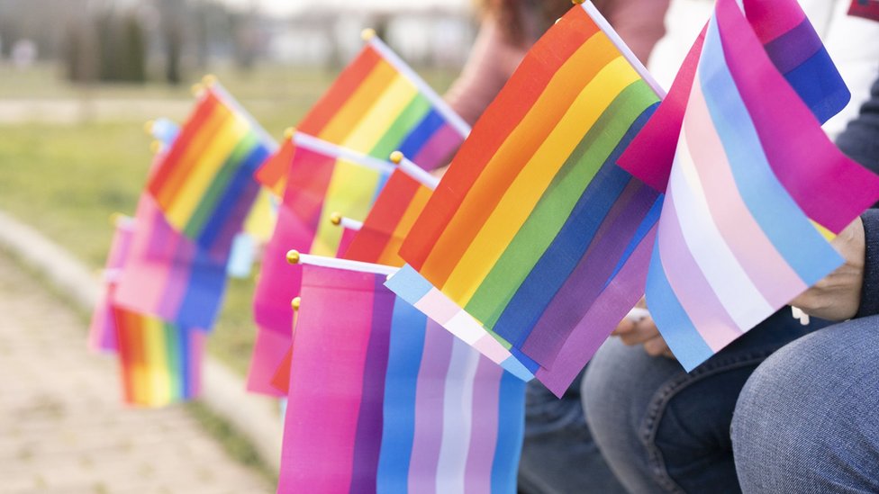 A mix of pride flags
