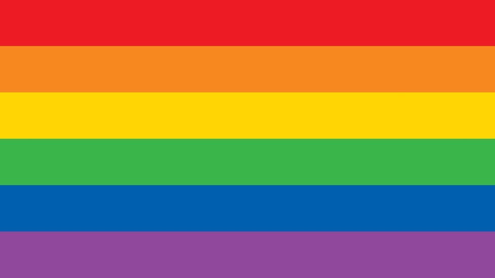 A six-colour rainbow flag