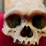 Kina, nauka i civilizacija: Da li je zmajoliki čovek jedan od naših najbližih predaka 4