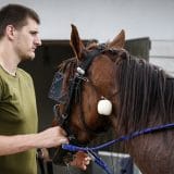 Kvalifikacije za OI previše blizu 11