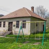 Duleni (2): Poklon od pčeličke popadije 5