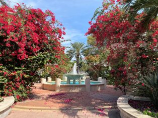 Dragana Mrvoš U Americi sistem ne prašta kašnjenje u plaćanju računa i rata za kredite 7