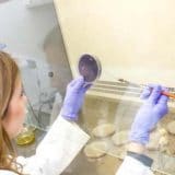 Manje plastičnog otpada uz pomoć bakterija i enzima 11