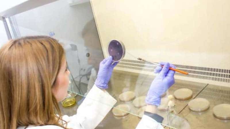 Manje plastičnog otpada uz pomoć bakterija i enzima 1