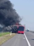 Autobus Nišekspresa izgoreo na autoputu kod Subotice (FOTO) 15