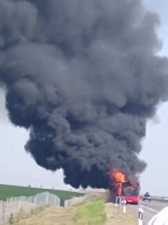 Autobus Nišekspresa Autobus Nišekspresa izgoreo na autoputu kod Subotice (FOTO) 12