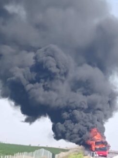 Autobus Nišekspresa Autobus Nišekspresa izgoreo na autoputu kod Subotice (FOTO) 11