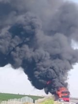 Autobus Nišekspresa Autobus Nišekspresa izgoreo na autoputu kod Subotice (FOTO) 10