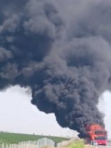 Autobus Nišekspresa Autobus Nišekspresa izgoreo na autoputu kod Subotice (FOTO) 9