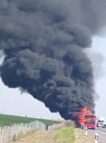 Autobus Nišekspresa Autobus Nišekspresa izgoreo na autoputu kod Subotice (FOTO) 7