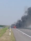 Autobus Nišekspresa Autobus Nišekspresa izgoreo na autoputu kod Subotice (FOTO) 4