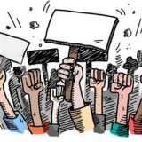 Kritična masa u čamcima, protiv uništavanja rukavaca Dunava u Novom Sadu 4