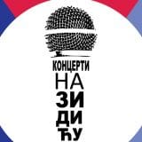 "Koncerti na Zidiću" od 21. juna ispred Doma omladine 4