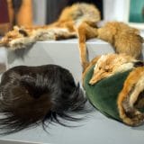 Izrael prva zemlja koja je zabranila trgovinu krznom za modnu industriju 9