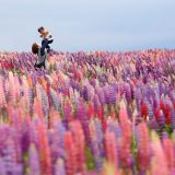 U Srbiji danas pretežno sunčano i veoma toplo vreme 10