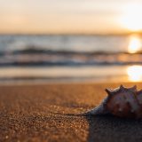 Danas prvi dan leta, u Srbiji ove nedelje do 39 stepeni 5