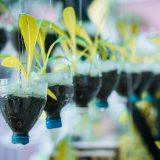 Samo devet odsto plastičnog otpada ikada proizvedenog je reciklirano 4