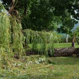 Majdanpek: Komisija za procenu štete obišla teren, opštinska preduzeća otklanjaju posledice subotnjeg nevremena 9