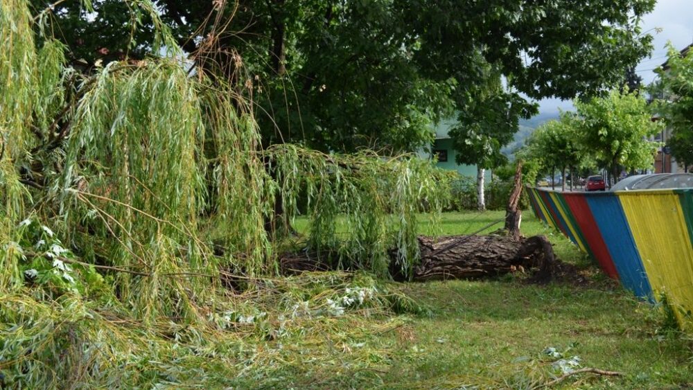 Majdanpek: Komisija za procenu štete obišla teren, opštinska preduzeća otklanjaju posledice subotnjeg nevremena 1
