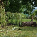 Nevreme sinoć protutnjalo kroz Donji Milanovac (FOTO) 10