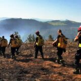Vulin: Lokalizovani požari kod Nove Varoši i Priboja 13