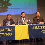 Ko su kandidati za predsednika DS i šta poručuju delegatima pred subotnju izbornu skupštinu? 2