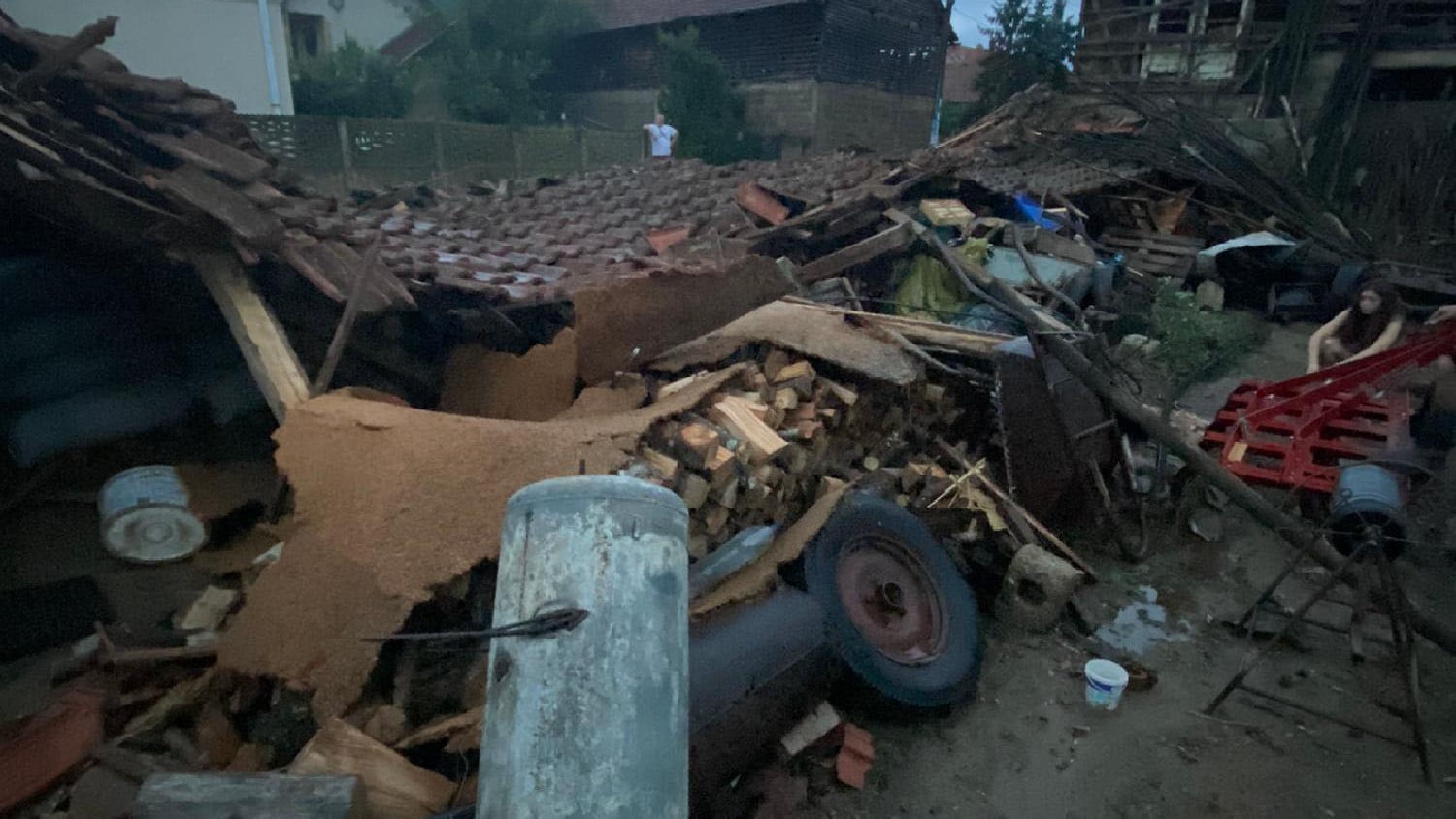 Nevreme u Novom Sadu i okolini: Grad oštetio useve, vetar čupao drveće 1