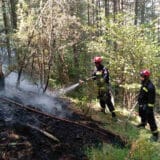 U toku gašenje požara na Mokroj Gori 10