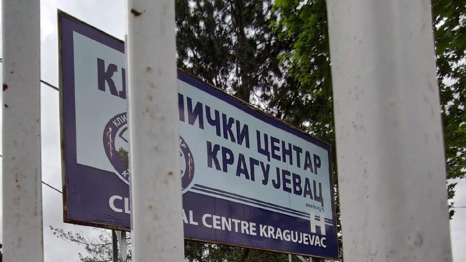 Direktor Kliničkog centra u Kragujevcu demantuje tvrdnje o brojnim tužbama za preminule 1