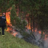 Nikšić: Spaseno pet osoba koje su se izgubile usled požara 9