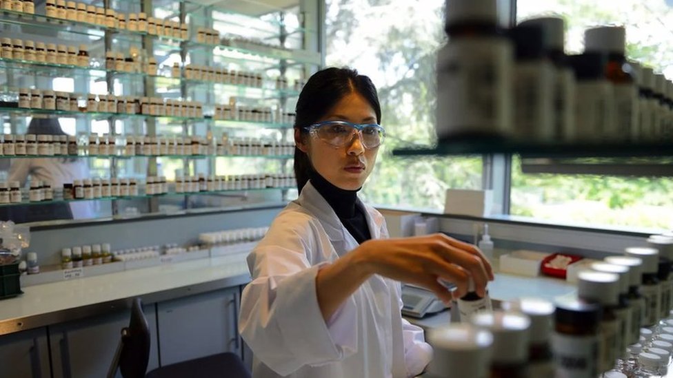 A perfumist, working in her lab