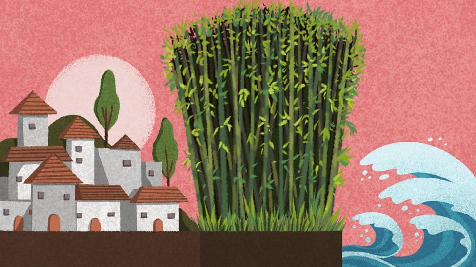 A village being protected from a tidal wave by a bamboo forest