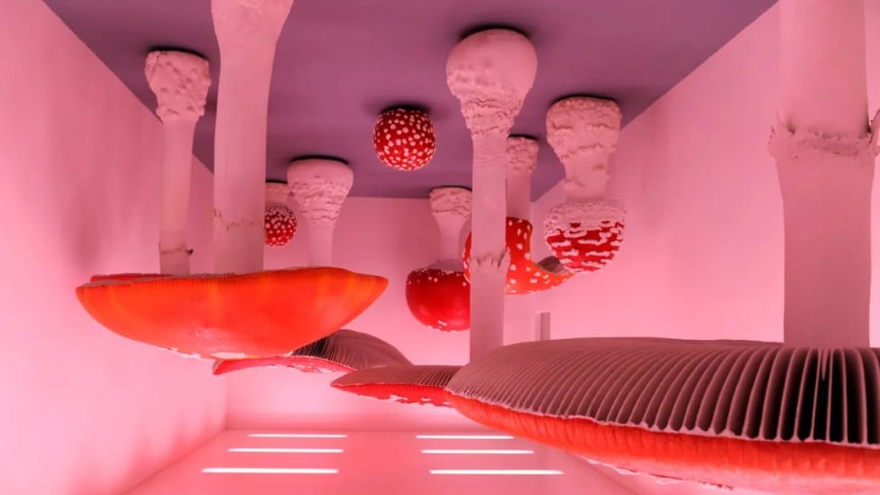 Droga i umetnosti: Od Hendriksa do Paranoje u Lac Vegasu - kako je p LSD uticao na zapadnjačku kulturu 7 pečurke, soba sa pečurkama