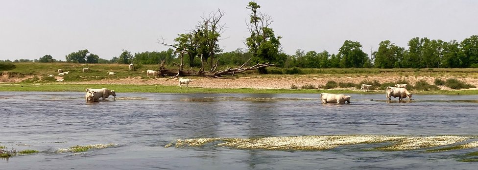 Film i zabava: Francuske lokacije u romanima o Džejmsu Bondu imaju dozvolu da nas uzbude 10 The Loire