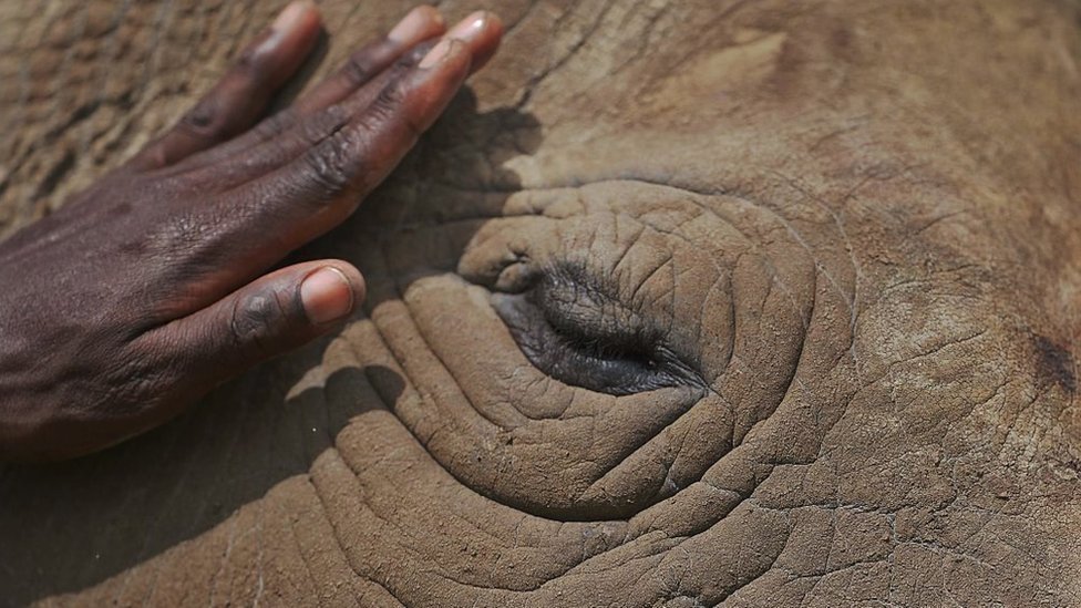 Close up of a care giver's hand and he calms Najin.
