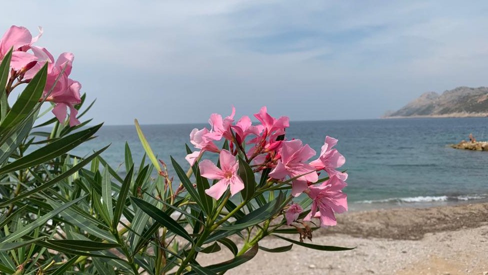 Turizam i letovanja: Pet stvari na koje treba da obratite pažnju pre nego što uplatite aranžman 1 Letovanje ni preko agencija ne treba shvatiti olako