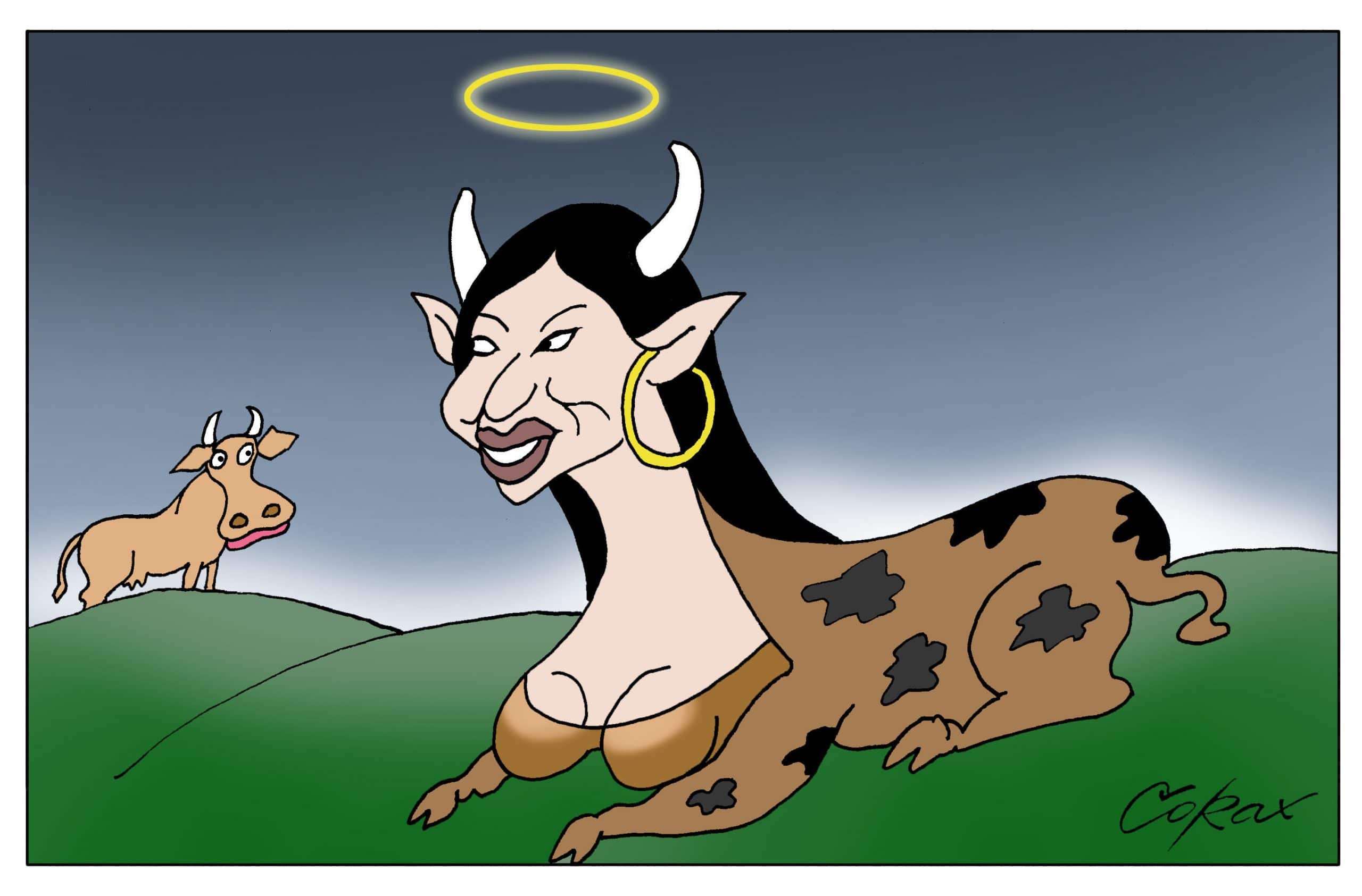 Corax 1