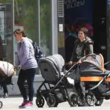 Mame setaju bebe u kolicima po suncanom i toplom vremenu, danas u centru Novog Sada.