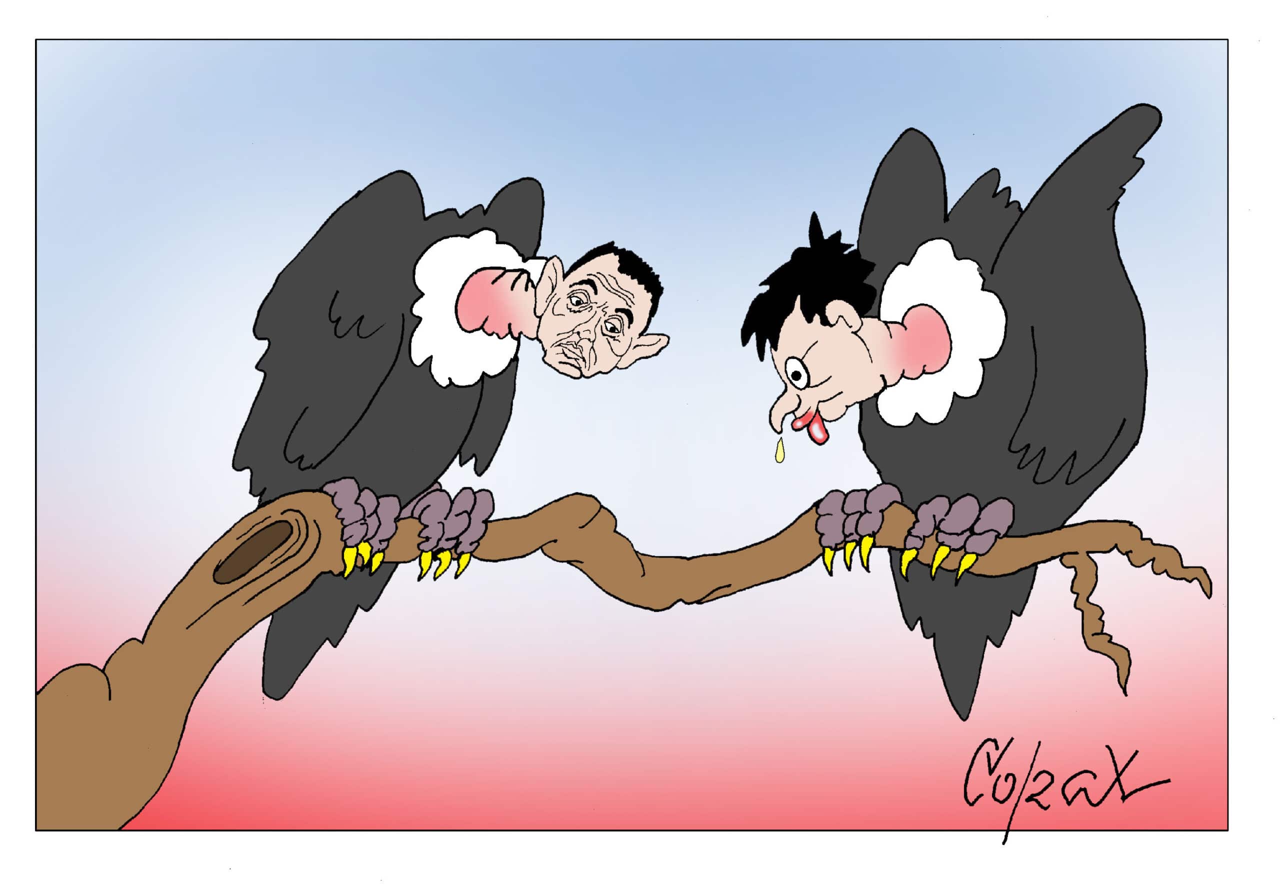 Corax 10