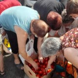 Proizvođači paradajza veruju državi "ako Vučić ostane na vlasti" 9