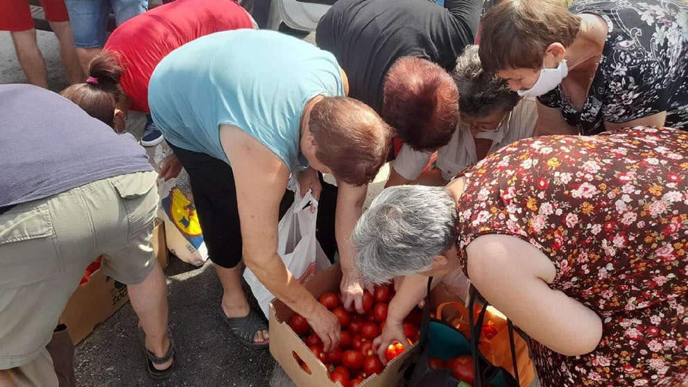Proizvođači paradajza veruju državi "ako Vučić ostane na vlasti" 1